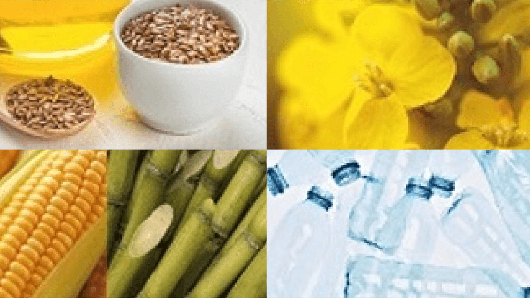 Eco-Friendly Materials